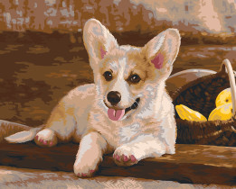 " ФРЕЯ" PNB/ R1 №71 Набор для раскрашивания по номерам 40 х 50 см " Вельш- Корги" 